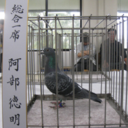 総合1席