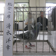 総合2席